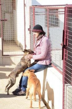 ????????????????????????????????????