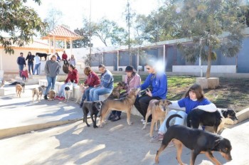 ????????????????????????????????????