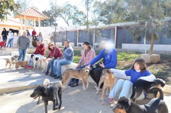 ????????????????????????????????????