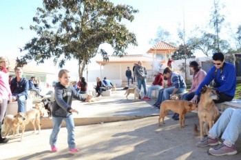 ????????????????????????????????????