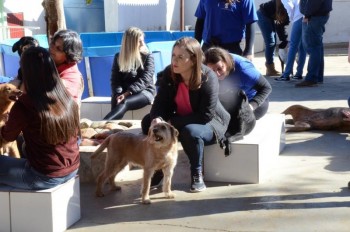 ????????????????????????????????????