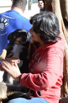 ????????????????????????????????????