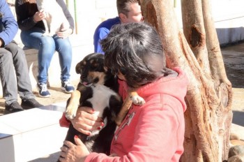 ????????????????????????????????????