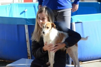 ????????????????????????????????????