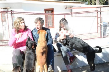 ????????????????????????????????????