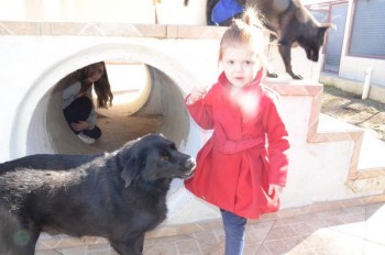 ????????????????????????????????????