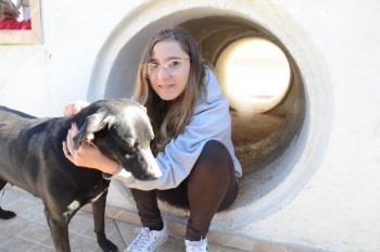 ????????????????????????????????????