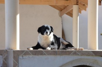 ????????????????????????????????????