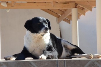 ????????????????????????????????????