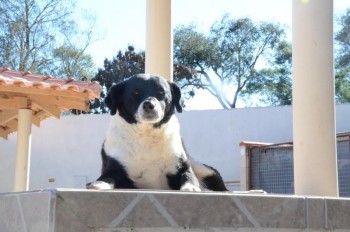 ????????????????????????????????????