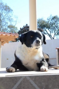 ????????????????????????????????????