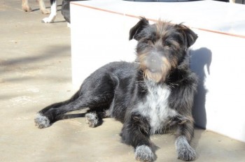 ????????????????????????????????????