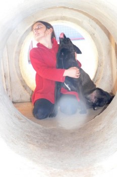 ????????????????????????????????????