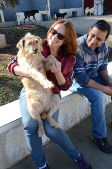 ????????????????????????????????????