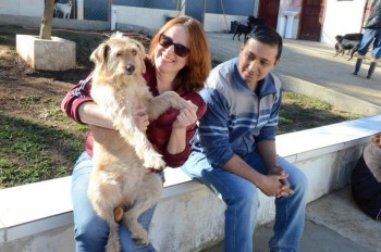 ????????????????????????????????????