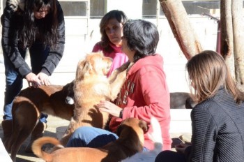 ????????????????????????????????????