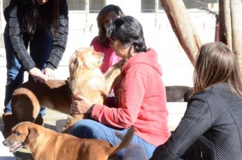 ????????????????????????????????????