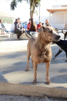 ????????????????????????????????????