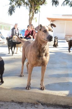 ????????????????????????????????????