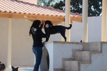 ????????????????????????????????????