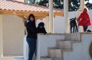 ????????????????????????????????????