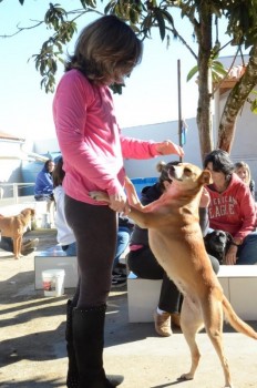 ????????????????????????????????????