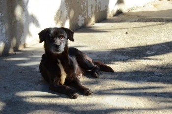 ????????????????????????????????????