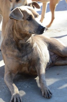 ????????????????????????????????????