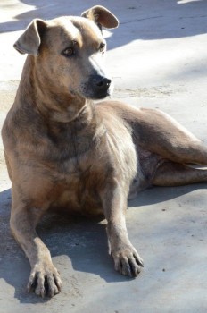 ????????????????????????????????????