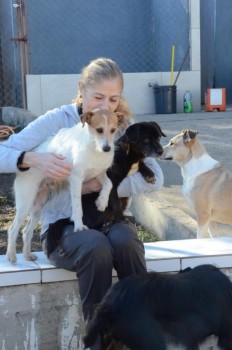 ????????????????????????????????????