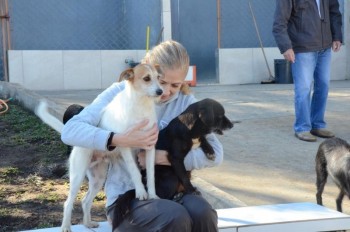 ????????????????????????????????????