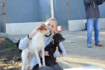 ????????????????????????????????????