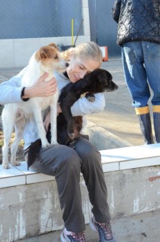 ????????????????????????????????????