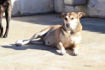 ????????????????????????????????????