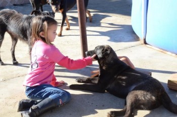 ????????????????????????????????????