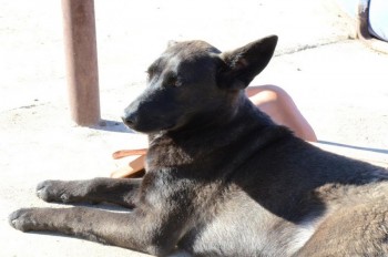 ????????????????????????????????????