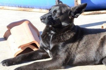 ????????????????????????????????????