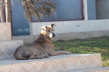 ????????????????????????????????????