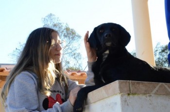 ????????????????????????????????????