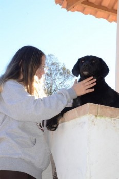 ????????????????????????????????????