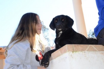 ????????????????????????????????????