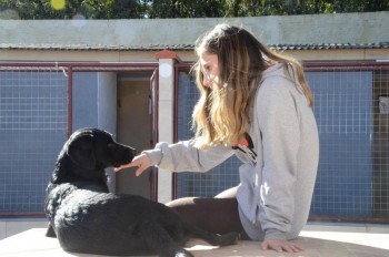 ????????????????????????????????????