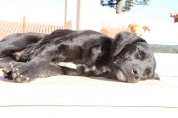 ????????????????????????????????????