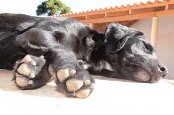 ????????????????????????????????????