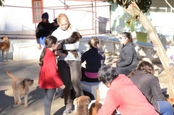 ????????????????????????????????????