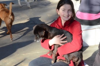 ????????????????????????????????????