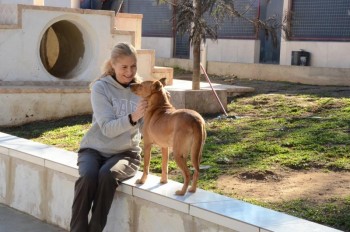 ????????????????????????????????????