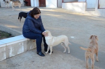 ????????????????????????????????????