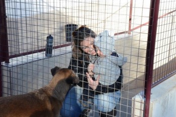 ????????????????????????????????????