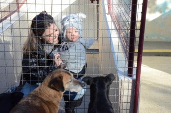 ????????????????????????????????????